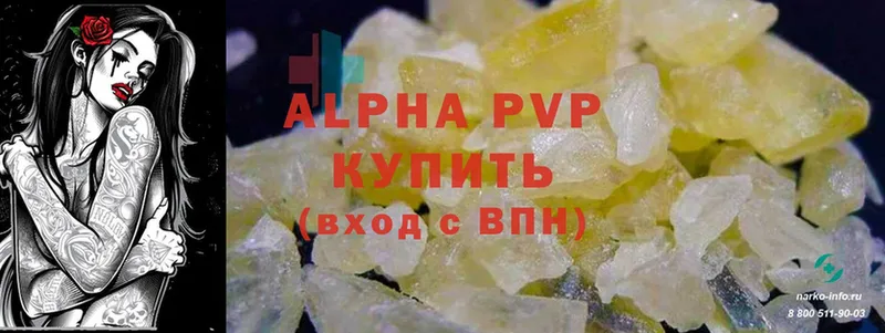 Alfa_PVP СК Махачкала