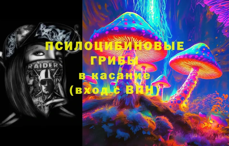 Псилоцибиновые грибы Psilocybe  Махачкала 